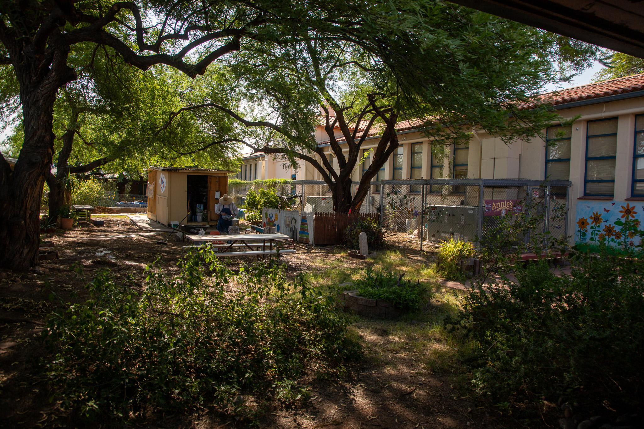 A teacher works in the school garden