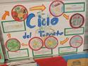 a poster of a cycle in spanish