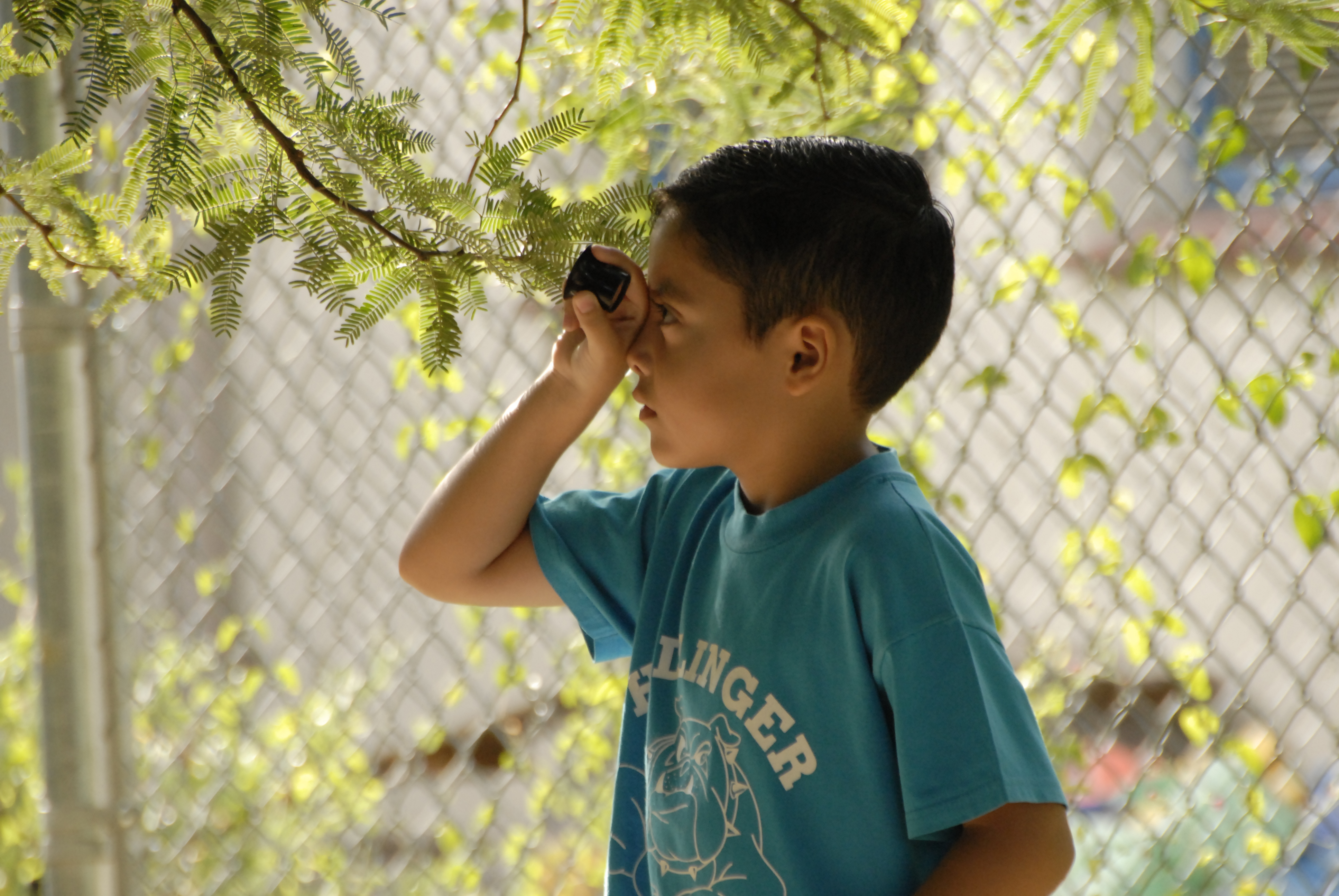 A boy uses a magnifying glass to look at leaves on a tree